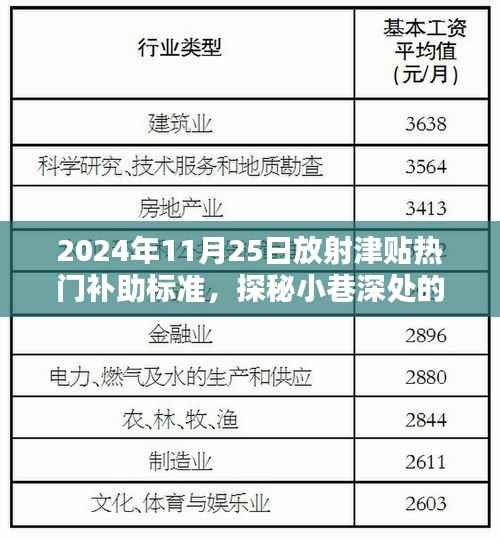 揭秘2024年放射津贴热门补助标准,小巷特色小店探秘