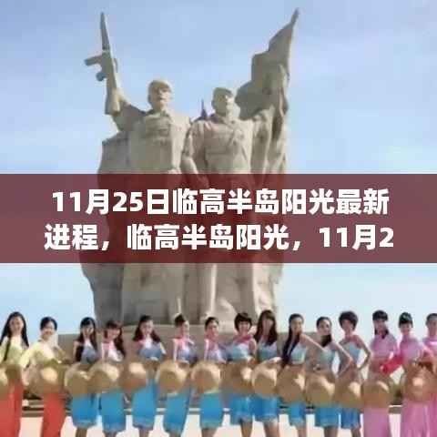 临高半岛阳光最新进展揭秘,11月25日最新更新动态速递