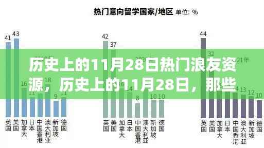 揭秘历史上的热门浪友资源背后的故事,11月28日的特殊纪念日