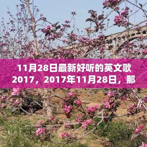 2017年11月28日最新流行英文歌曲,唤醒时光的旋律