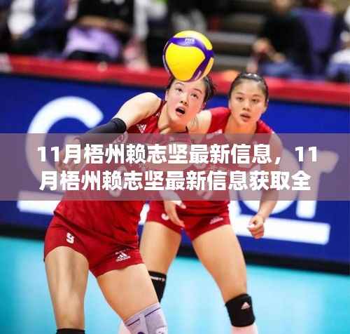 11月梧州赖志坚最新信息获取全攻略,一步步教你追踪与了解