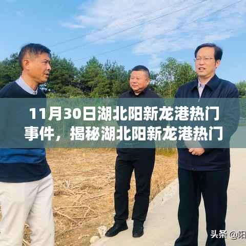 湖北阳新龙港热门事件揭秘,探寻真相,洞悉前沿动态