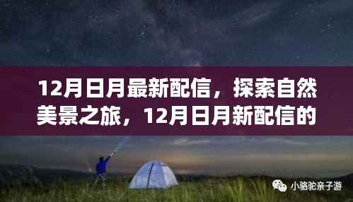 12月日月新配信,自然美景之旅的奇妙启示,探寻内心宁静与平和的启程