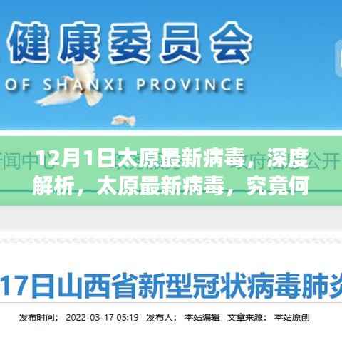 太原最新病毒深度解析,溯源、演变与防控策略探讨