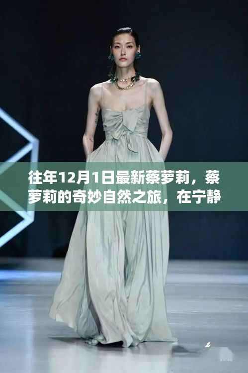 蔡萝莉的宁静之旅,探寻真我,奇妙自然之旅的奇妙篇章