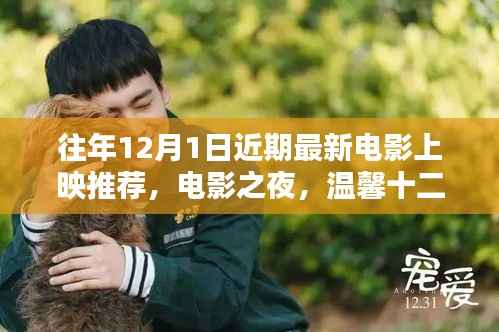 温馨十二月电影之夜，最新大片上映推荐与好友共赏时刻
