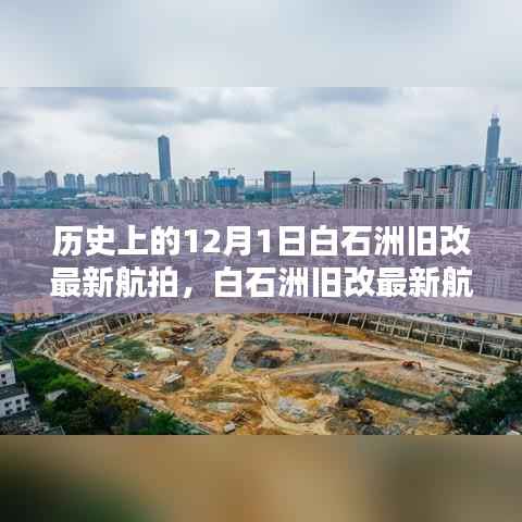 花开无言 第13页