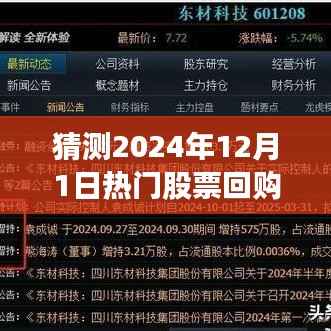 探析，2024年热门股票回购计划的展望与某某观点探析