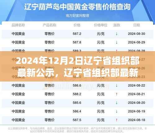 辽宁省组织部最新公示,时代脉搏下的未来展望(2024年12月)