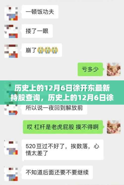 历史上的12月6日徐开东最新持股查询指南,全攻略适用于初学者与进阶用户查询需求