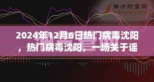 谣言与真相的探讨,聚焦沈阳热门病毒事件,2024年12月6日纪实报道