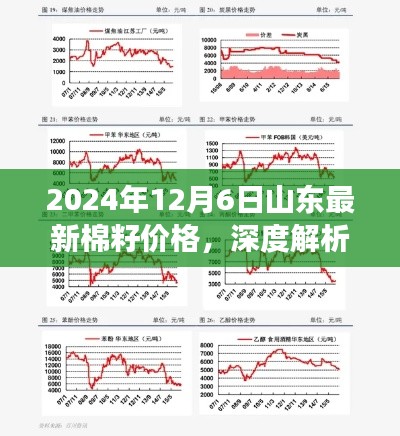 2024年12月6日山东棉籽价格深度解析,最新市场动态与表现