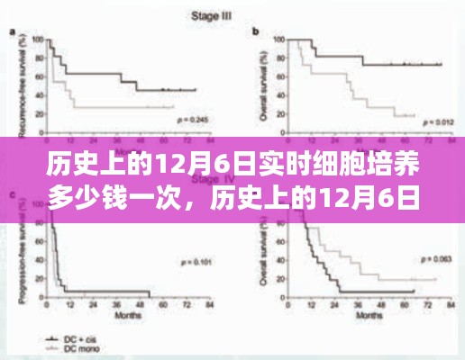 历史上的12月6日实时细胞培养费用探讨,一次的费用及其影响分析