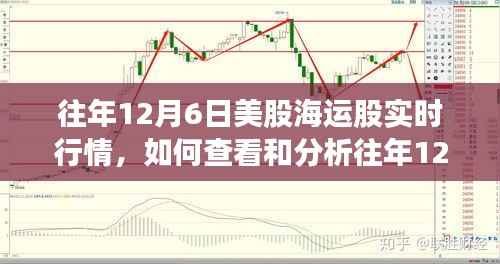 查看与分析往年12月6日美股海运股实时行情指南，初学者与进阶用户必备知识