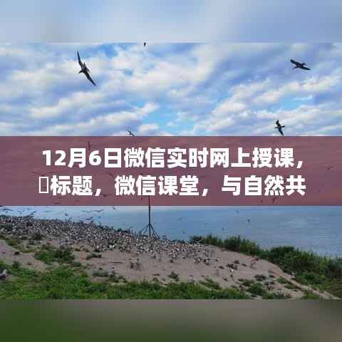 微信课堂，与自然共舞的心灵之旅启程，线上授课开启尘外心灵之旅