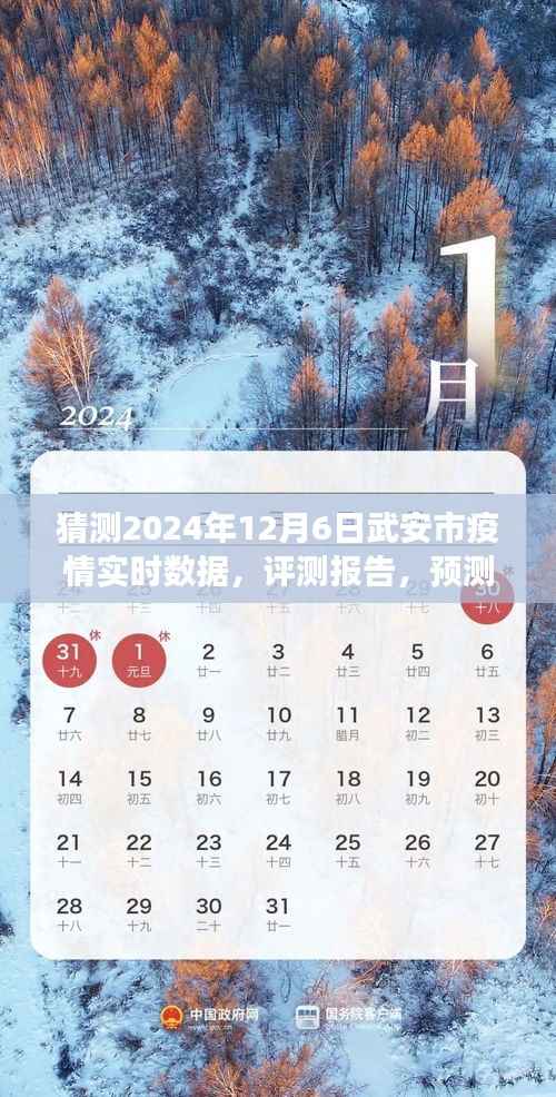 2024年视角,武安市疫情实时数据预测与评测报告,12月6日疫情状况展望