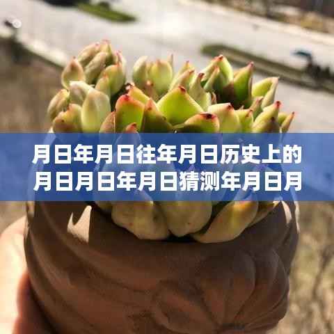 温馨的日期探秘之旅,历史、监控与时光里的日月计算