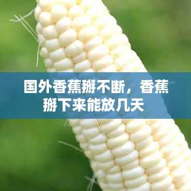 国外香蕉掰不断，香蕉掰下来能放几天 