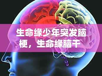 生命缘少年突发脑梗,生命缘脑干