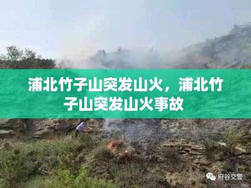 浦北竹子山突发山火，浦北竹子山突发山火事故 