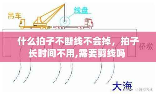 什么拍子不断线不会掉，拍子长时间不用,需要剪线吗 