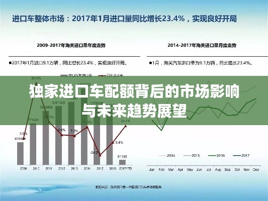 独家进口车配额背后的市场影响与未来趋势展望