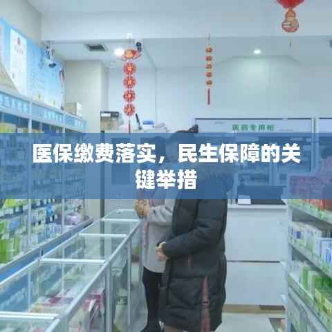 医保缴费落实，民生保障的关键举措