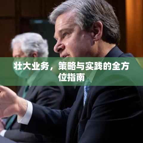 壮大业务,策略与实践的全方位指南