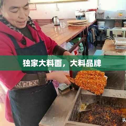独家大料面，大料品牌 