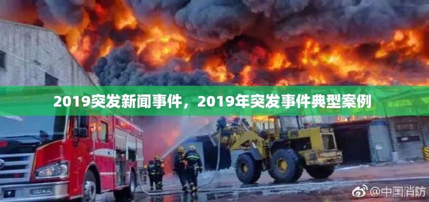 2019突发新闻事件,2019年突发事件典型案例
