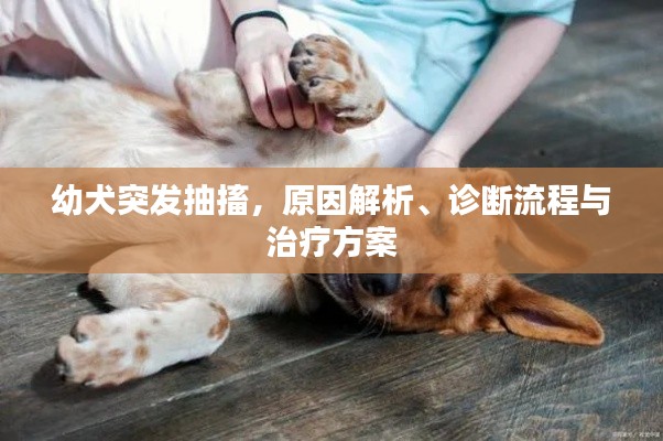 fanzhangjishu 第10页