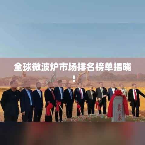 全球微波炉市场排名榜单揭晓！