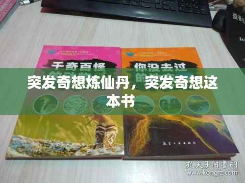 突发奇想炼仙丹,突发奇想这本书