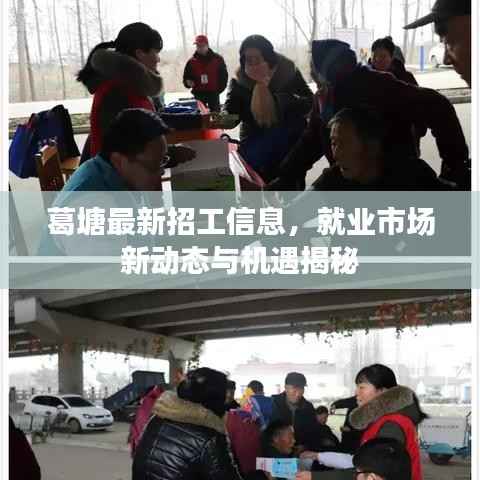 葛塘最新招工信息,就业市场新动态与机遇揭秘
