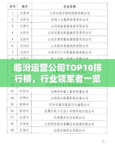 临汾运营公司TOP10排行榜,行业领军者一览