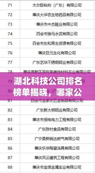 湖北科技公司排名榜单揭晓,哪家公司荣登榜首?
