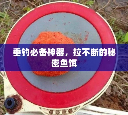 垂钓必备神器,拉不断的秘密鱼饵