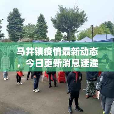 马井镇疫情最新动态，今日更新消息速递