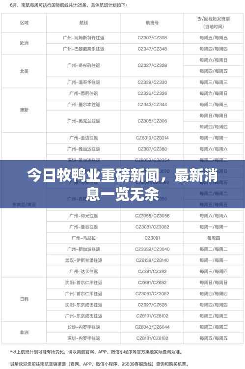 今日牧鸭业重磅新闻，最新消息一览无余