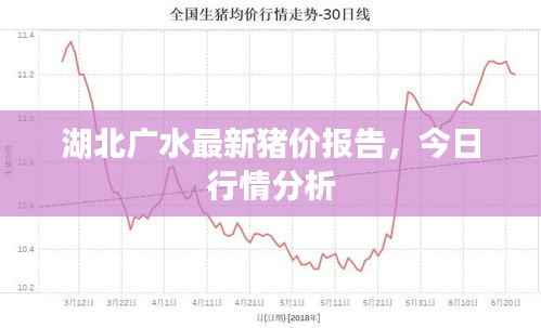 湖北广水最新猪价报告，今日行情分析