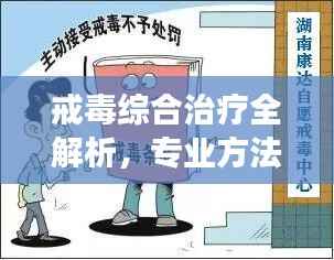 戒毒综合治疗全解析，专业方法与康复之路