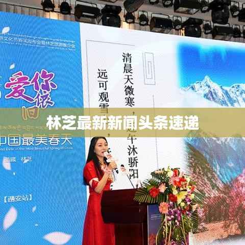 林芝最新新闻头条速递