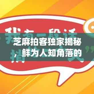 芝麻拍客独家揭秘，鲜为人知角落的惊人秘密