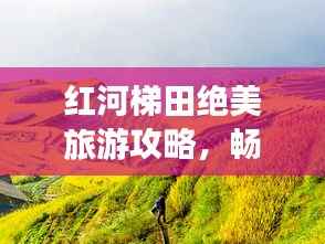 红河梯田绝美旅游攻略，畅游梯田风光！