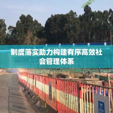 制度落实助力构建有序高效社会管理体系