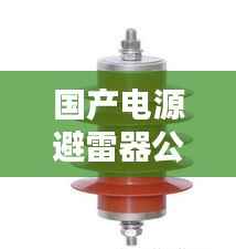 国产电源避雷器公司排名大揭秘，权威榜单，不容错过！