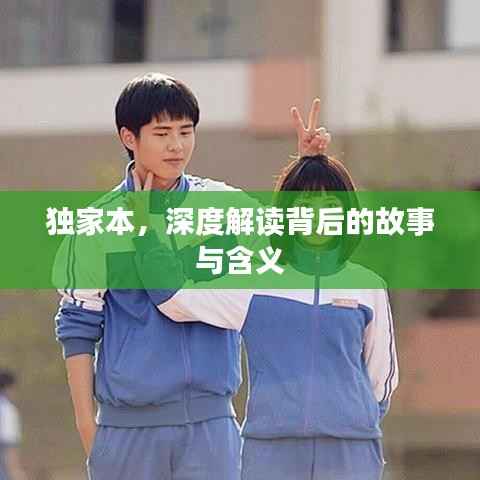 独家本，深度解读背后的故事与含义
