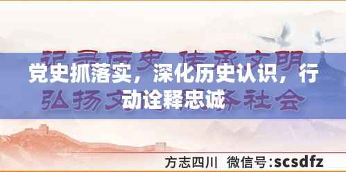 党史抓落实,深化历史认识,行动诠释忠诚
