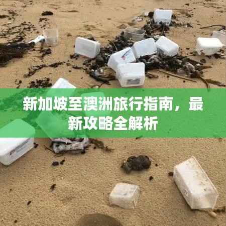 jingjingyeye 第5页