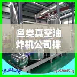 鱼类真空油炸机公司排名解析，行业领导者一览